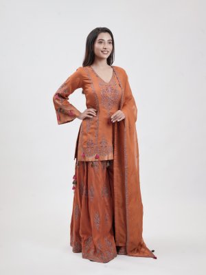 Bright Orange Chanderi Palazzo  - image 2
