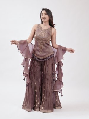 Mauve Wood Organza Palazzo - image 1