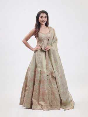 Light Olive Tissue Organza Embellished Lehenga - image 2