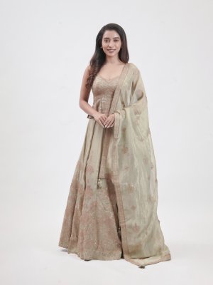 Light Olive Tissue Organza Embellished Lehenga - image 1