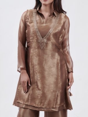 Golden Brown Tissue Palazzo - image 3