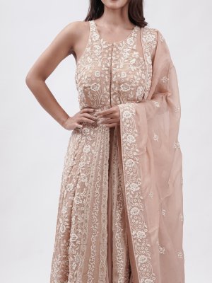Pastel Tan Organza Palazzo - image 3