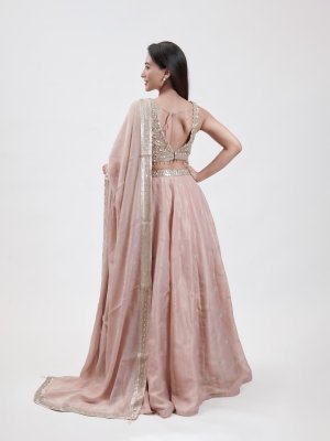 Onion Pink Tissue Lehenga - image 4