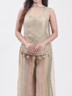 Dull Gold Tissue Palazzo Ensemble   - image 3