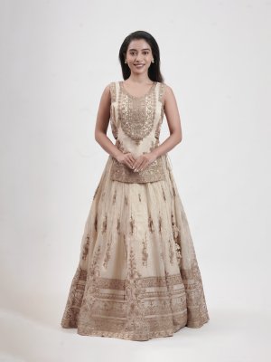 Cream Tissue Leaf-Neck Lehenga - image 1