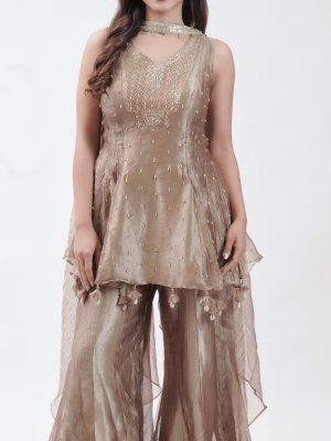 Golden Brown Tissue Palazzo - image 3