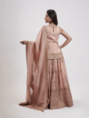 Peach Tissue Leaf-Neck Lehenga - image 4