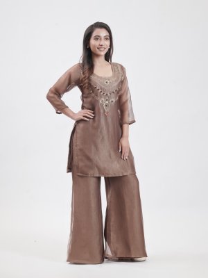 Chocolate Brown Organza Tissue Palazzo  - image 1
