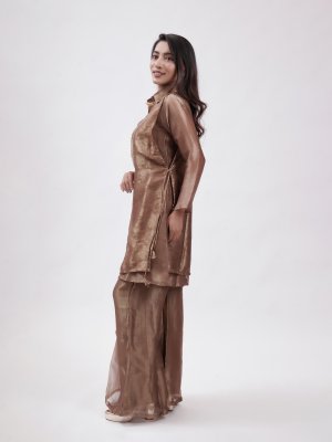 Golden Brown Tissue Palazzo - image 2