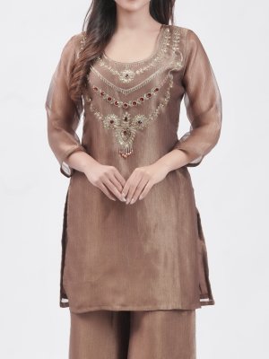 Chocolate Brown Organza Tissue Palazzo  - image 3