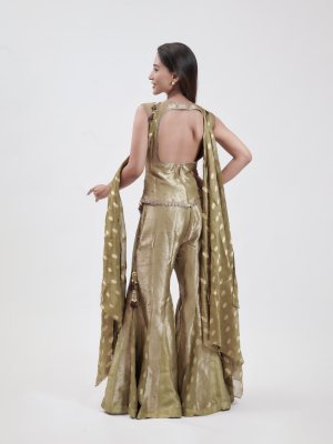 Olive Green Banarasi Palazzo - image 4