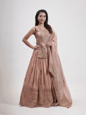 Peach Tissue Leaf-Neck Lehenga - image 2