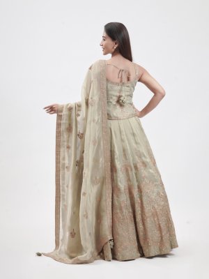 Light Olive Tissue Organza Embellished Lehenga - image 4