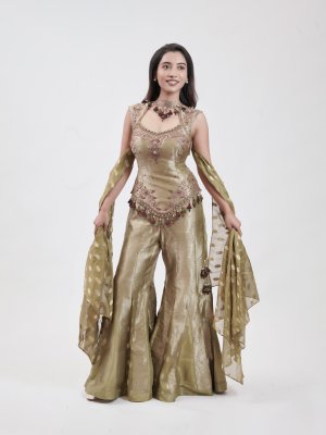 Olive Green Banarasi Palazzo - image 1