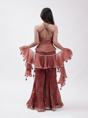 Rust Orange Organza Palazzo - image 4
