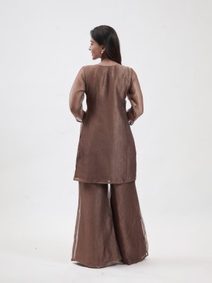 Chocolate Brown Organza Tissue Palazzo  - image 4