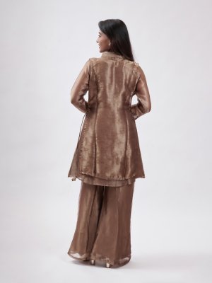 Golden Brown Tissue Palazzo - image 4