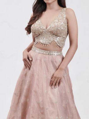 Onion Pink Tissue Lehenga - image 3
