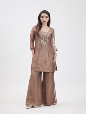 Chocolate Brown Organza Tissue Palazzo  - image 2