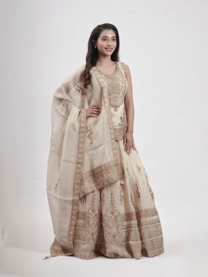 Cream Tissue Leaf-Neck Lehenga - image 2