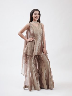 Golden Brown Tissue Palazzo - image 2