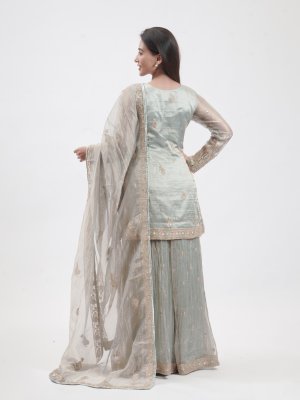 Light Blue Organza Tissue Palazzo   - image 4