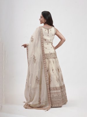 Cream Tissue Leaf-Neck Lehenga - image 4
