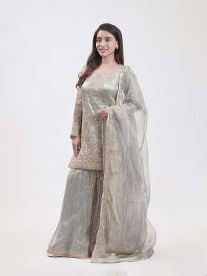 Light Blue Organza Tissue Palazzo   - image 2
