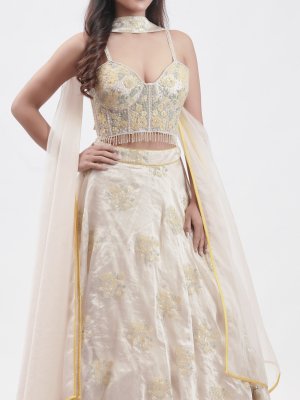 Half-White Organza Embroidered Lehenga - image 3