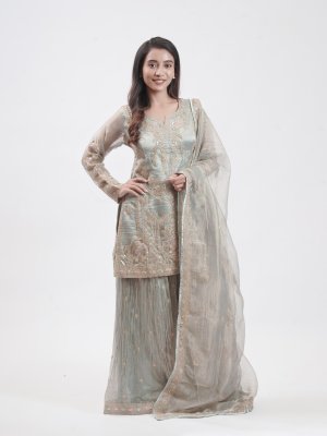 Light Blue Organza Tissue Palazzo   - image 1